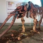 Concejo de Tarija anuncia la construcción del Parque Paleontológico que generará turismo y economía