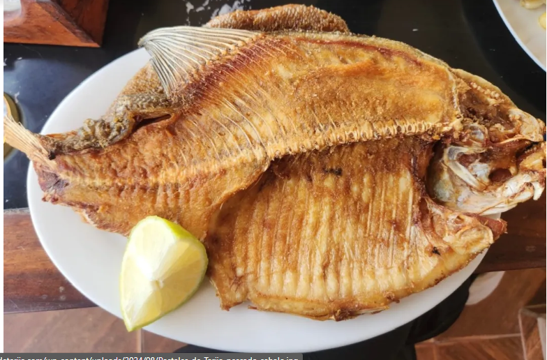 Captura de pantalla 2025-04-28 161512