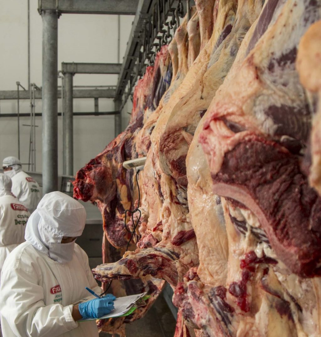 Carne (1)