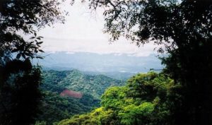 tariquia-bolivia-areas-protegidas-2-768x453-1