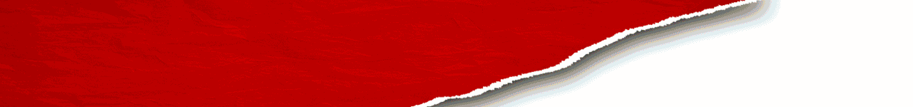 8. HISTORIA DE MI BARRIO (1)