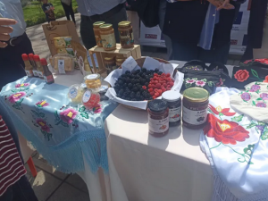 Captura de pantalla 2026-01-19 163019