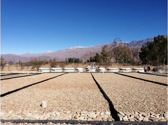 Captura de pantalla 2026-01-20 004135